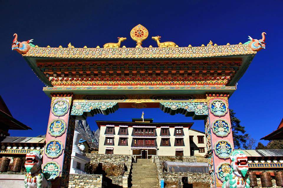 Chitwan jungle and wildlife moments